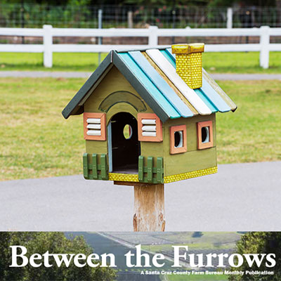 Between the Furrows Newsletter Magazine